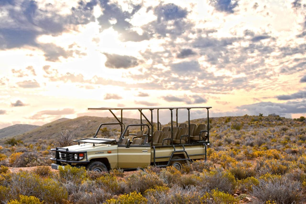 Mont Eco Game Reserve Montagu Exterior foto