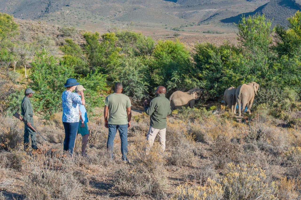 Mont Eco Game Reserve Montagu Exterior foto