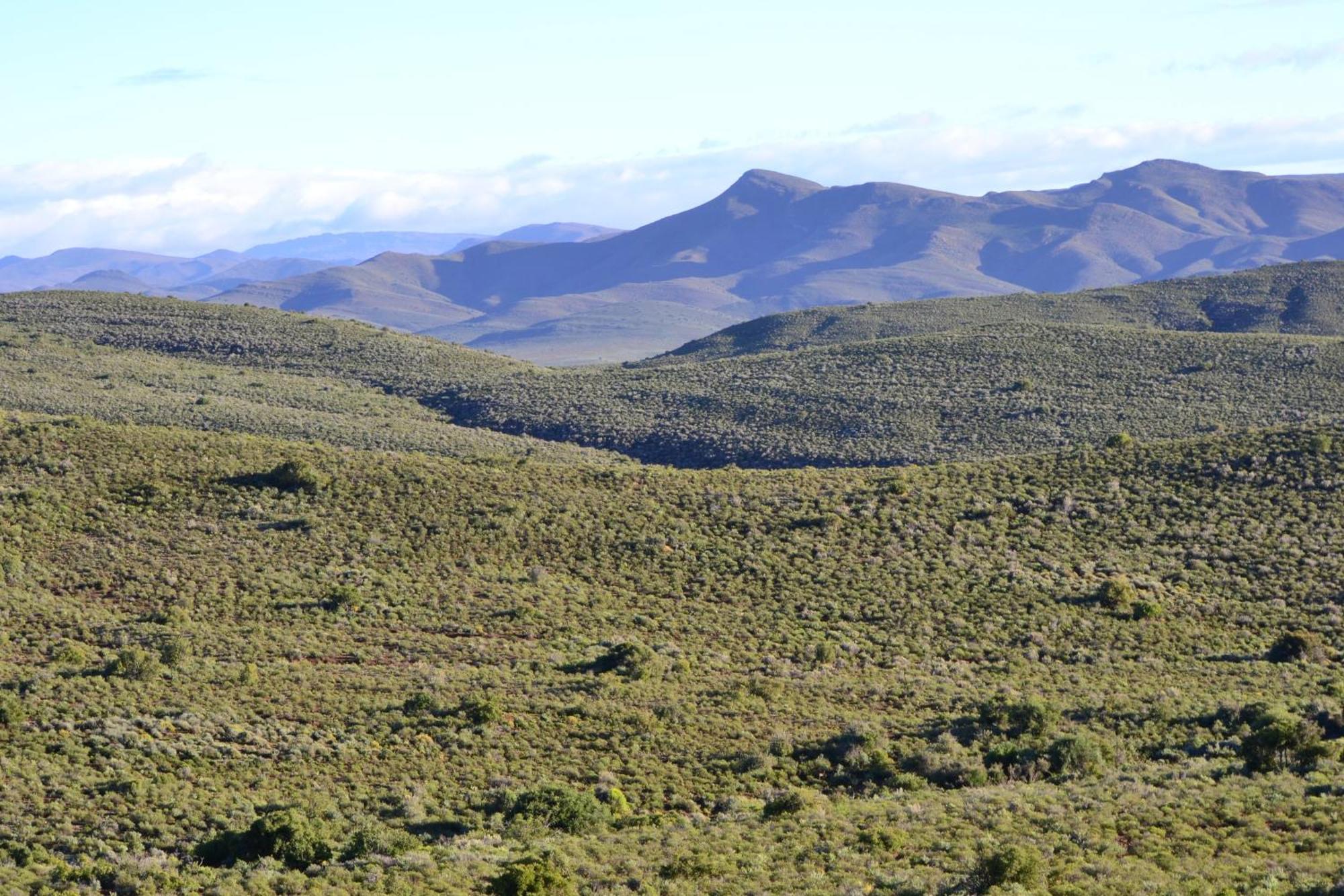 Mont Eco Game Reserve Montagu Exterior foto